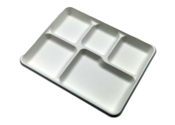 School Bagasse Biodegradable Food Trays 260x210x24mm