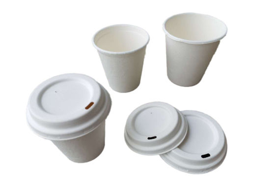 Sugarcane 12oz 350ml Biodegradable Cups And Lids