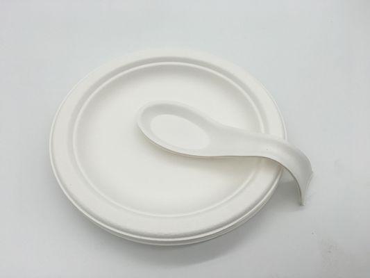 Waterproof 12 Inch Tableware Sugarcane Pulp Plates